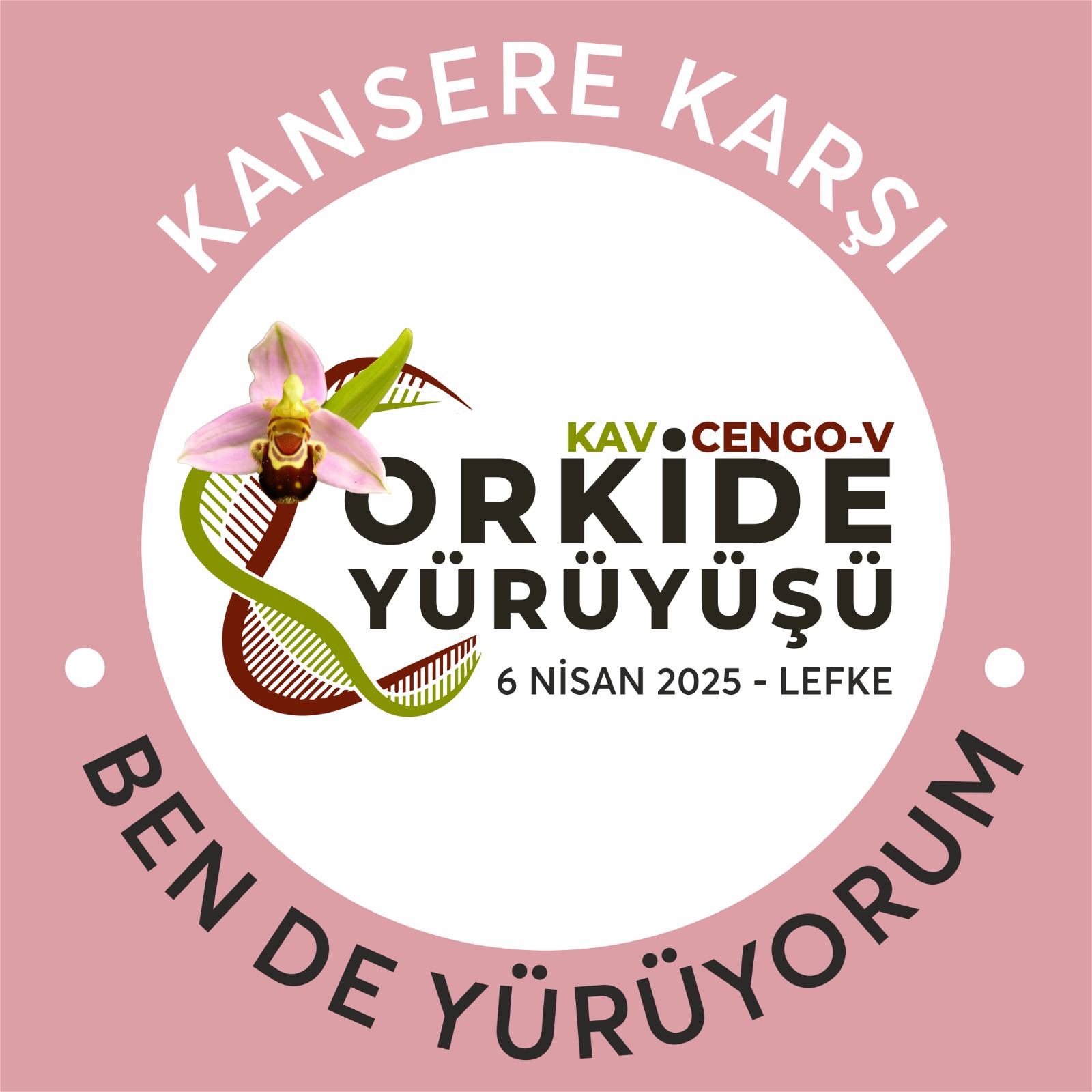 Kansere karşı yapılan orkide yürüyüşü bu yıl Lefke’de olacak