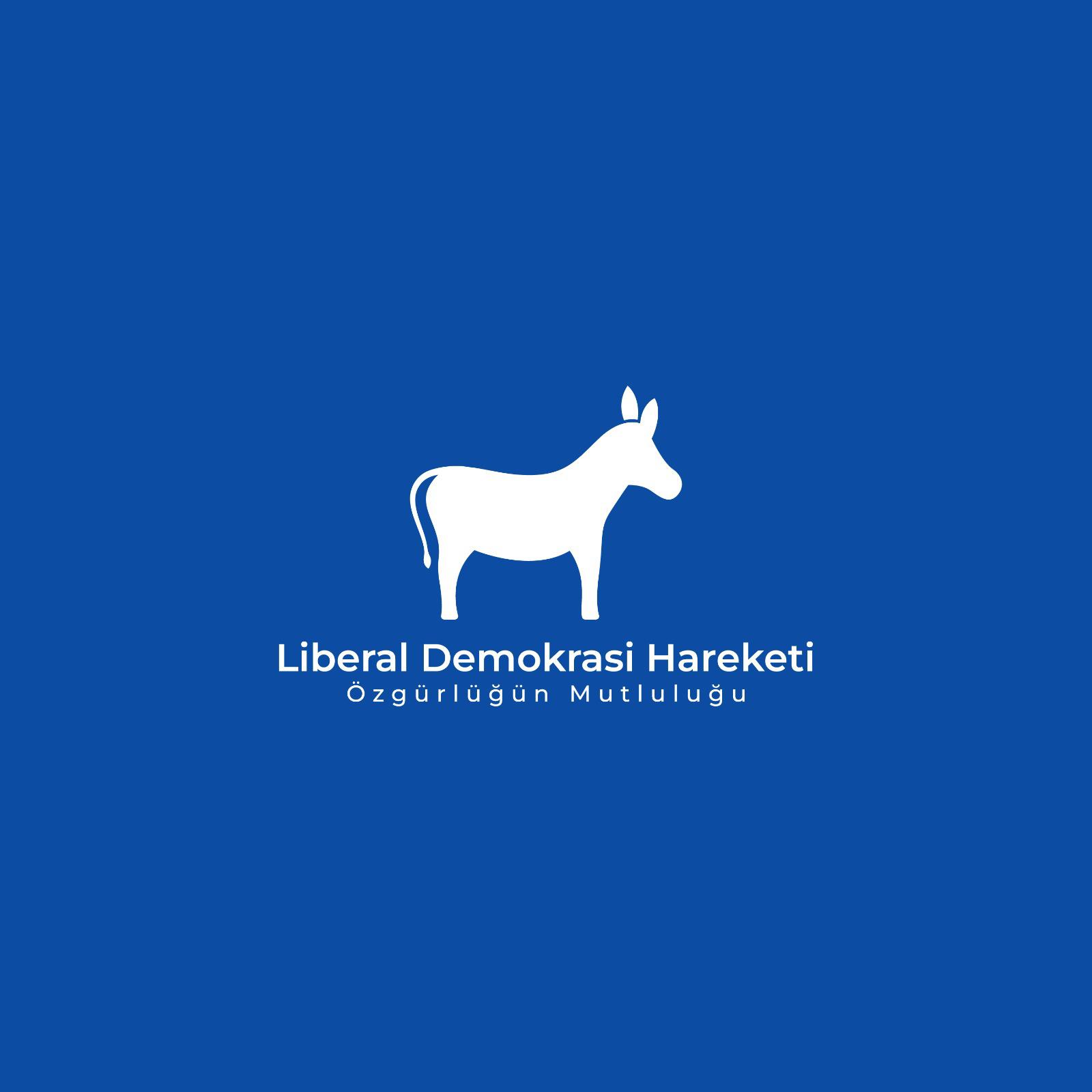Liberal Demokrasi Hareketi: “2026 bütçesinin yaklaşık yüzde 75’i maaş ve cari transferlere gidiyor”
