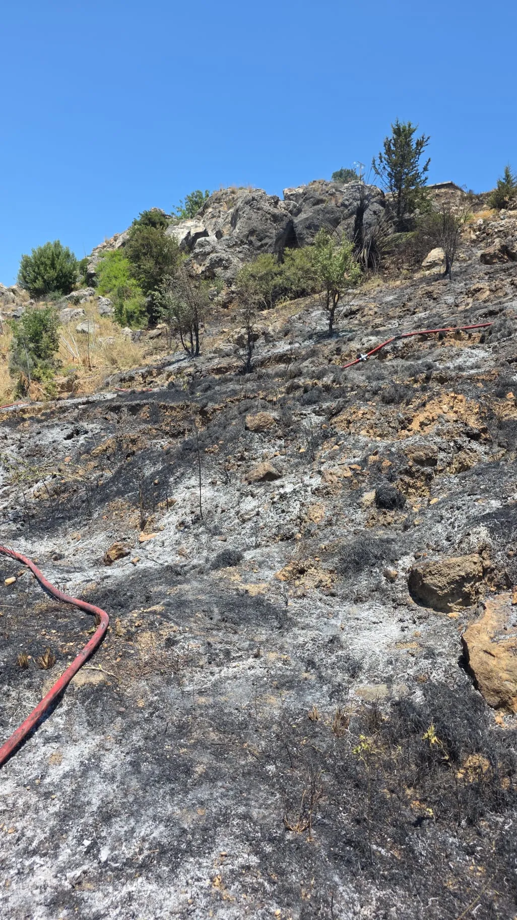 Taşkent Doğa Parkı yakınlarındaki yangın söndürüldü… Soğutma çalışmaları sürüyor